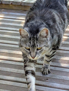 Photo de galerie - La garde de Tom 