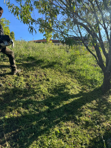 Photo de galerie - Tonte de pelouse - Débroussaillage