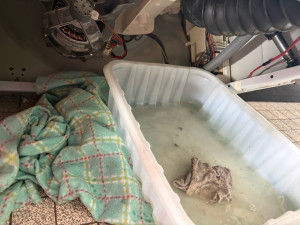 Photo de galerie - Réparation lave linge 