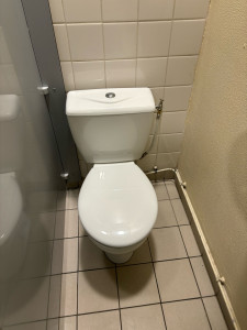 Photo de galerie - Remplacement d’un WC