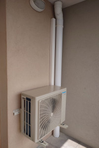 Photo de galerie - Le groupe extérieur 