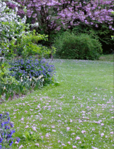 Photo de galerie - Tonte- débroussaillage 