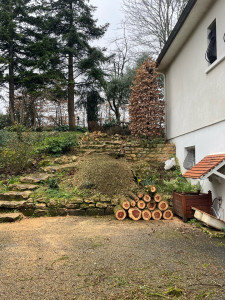 Photo de galerie - Elagage et coupe d'arbres