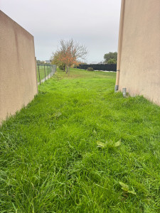 Photo de galerie - Tonte de pelouse - Débroussaillage