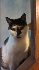 Photo de galerie - Ma petite minette