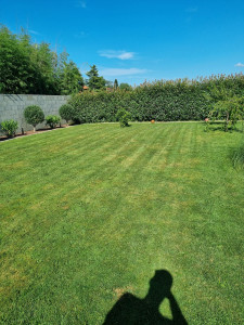 Photo de galerie - Tonte pelouse 