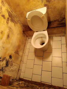 Photo de galerie - Ménage