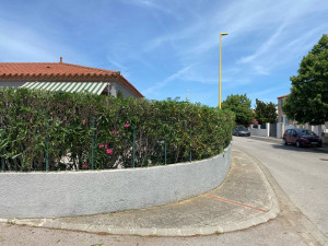 Photo de galerie - Rabattage d’une haie de laurier rose (après)