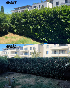 Photo de galerie - Jardinier