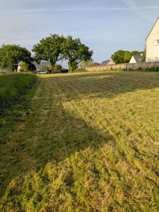 Photo de galerie - Tonte de pelouse et débroussailler 