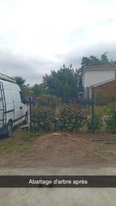 Photo de galerie - Abattage d'un arbre