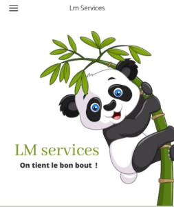 Photo de galerie - Lm services prestations d'aide ménage et service à la personne 