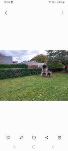 Photo de galerie - Tonte et taille de haie 4000m2 et 40m de haie après