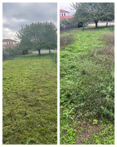 Photo de galerie - Avant / Après 