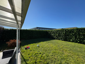 Photo de galerie - Taille de haie 