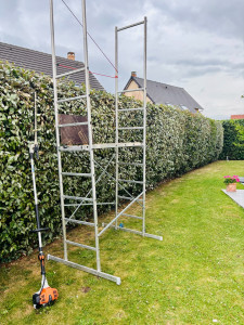 Photo de galerie - Taille des haies grande hauteur 