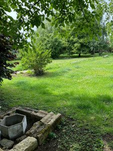 Photo de galerie - Tonte de pelouse - Débroussaillage
