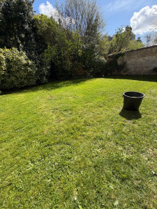 Photo de galerie - Entretien annuel pour ce petit terrain tonte, débroussailleuse et traitement de mauvais herbe 