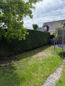 Photo de galerie - Taille de haie 