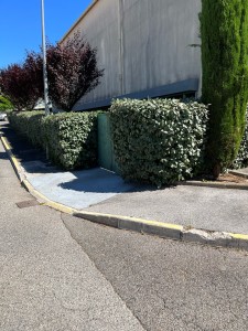 Photo de galerie - Taille de haies et d'arbustes