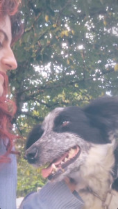 Photo de galerie - Garde chien