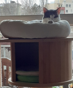 Photo de galerie - Choupinou ❤