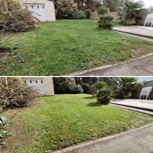 Photo de galerie - . 