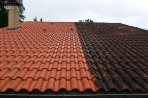 Photo de galerie - Rénovation de tuiles