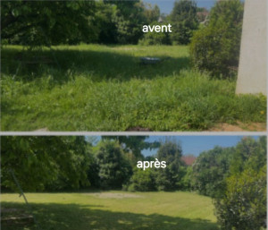 Photo de galerie - J'ai pris un réel plaisir à faire ce chantier 