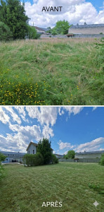 Photo de galerie - Remise en état d'une pelouse de 1000m²