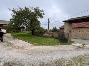 Photo de galerie - Entretien de jardin 