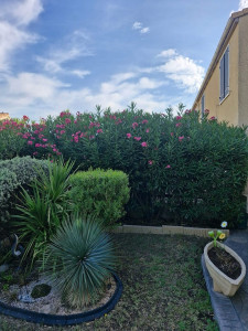 Photo de galerie - Avant 