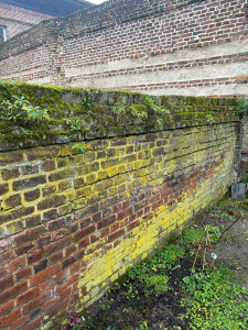 Photo de galerie - Paysagiste - Aménagement du jardin