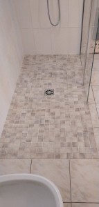 Photo de galerie - Ancienne baignoire douche a  italienne