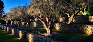 Photo de galerie - éclairage extérieur
