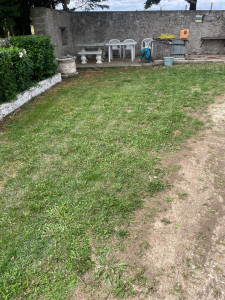 Photo de galerie - Tonte de pelouse - Débroussaillage