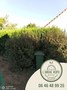 Photo de galerie - Taillage de haie 