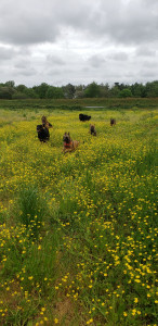 Photo de galerie - Garde animaux