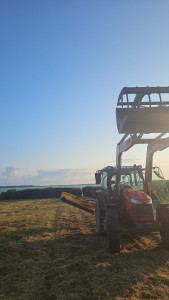 Photo de galerie - Broyage d'herbe 