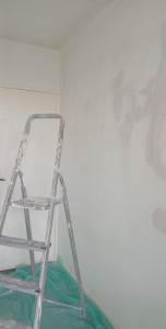 Photo de galerie - .