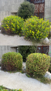 Photo de galerie - Avant/après  