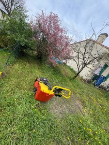 Photo de galerie - Tonte de pelouse - Débroussaillage
