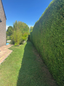 Photo de galerie - Haie