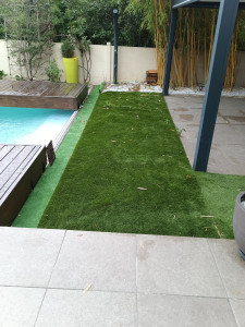 Photo de galerie - Gazon 