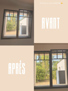 Photo de galerie - Nettoyeur de vitres