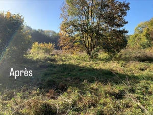 Photo de galerie - Après