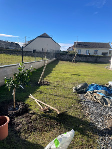 Photo de galerie - Plantations d’arbres 