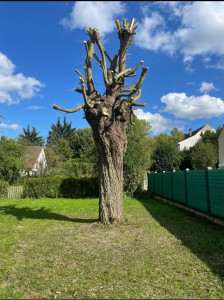 Photo de galerie - Après 