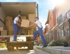 Photo de galerie - Manutention