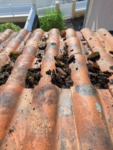 Photo de galerie - Demoussage de couverture 